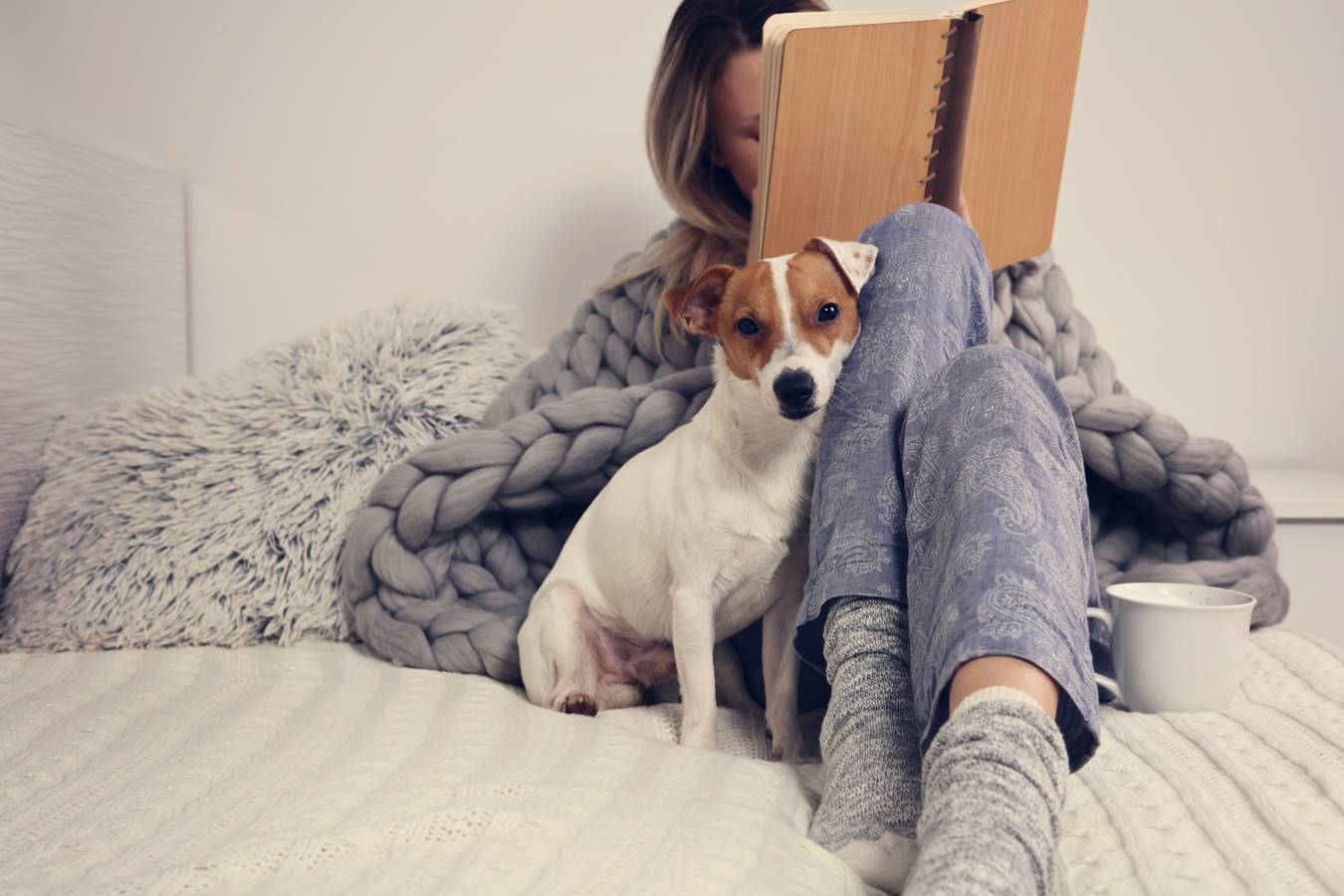 Woman wrapped in blankets, reading a book, with a dog and coffee mug sitting at her sides.